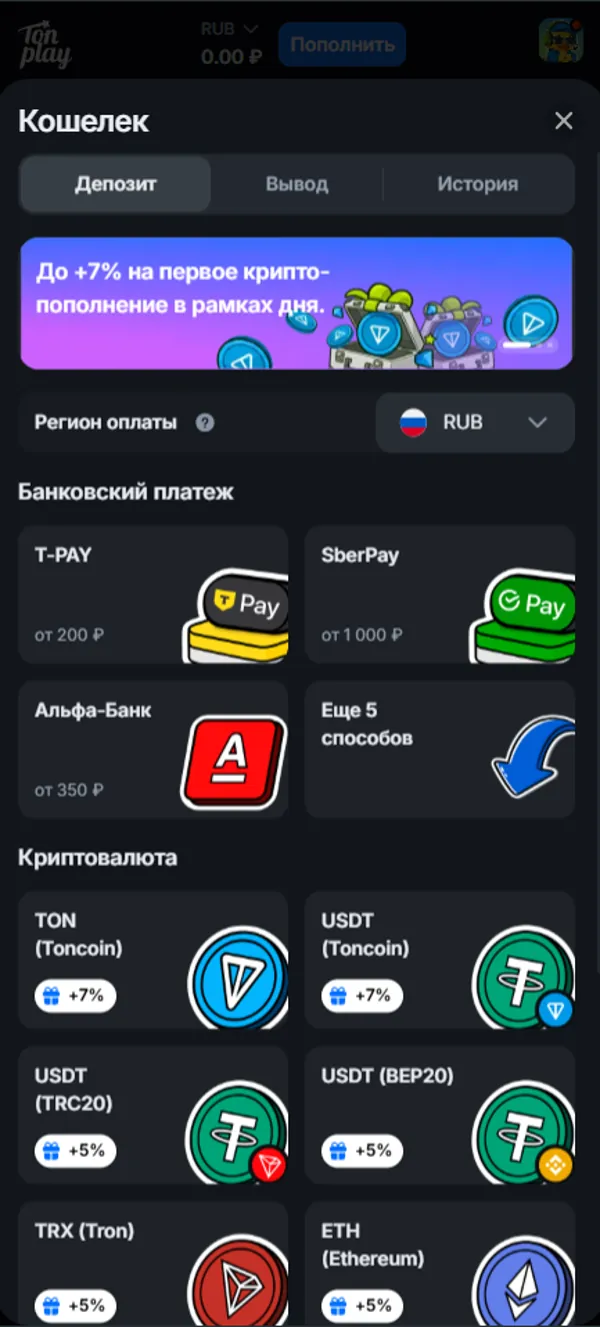 Платежный раздел